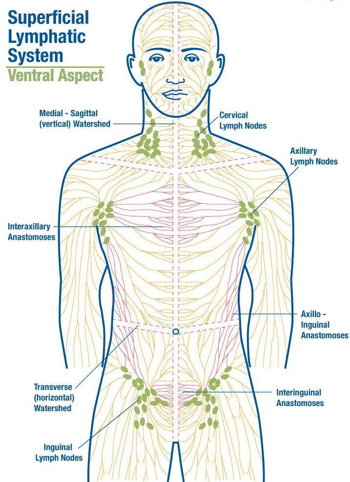 Lymph Drainage Massage